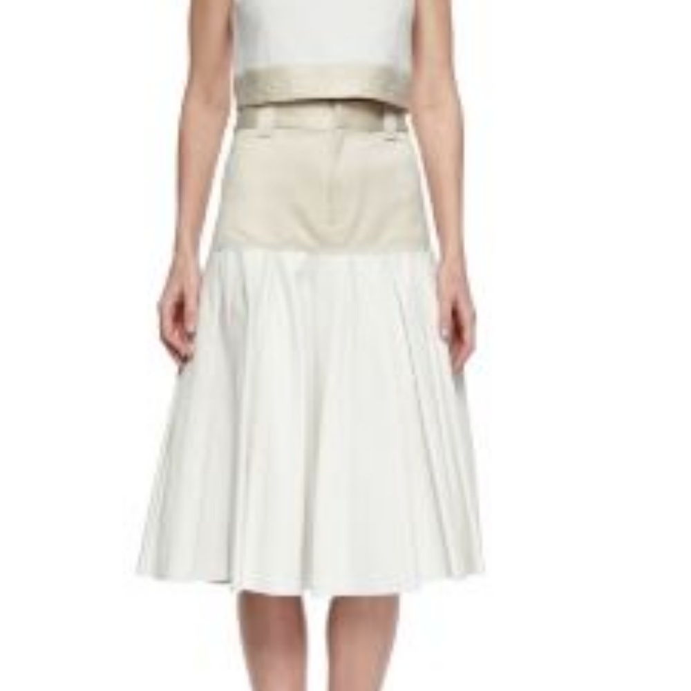Rag & Bone Brooke two toned pleated leather skirt